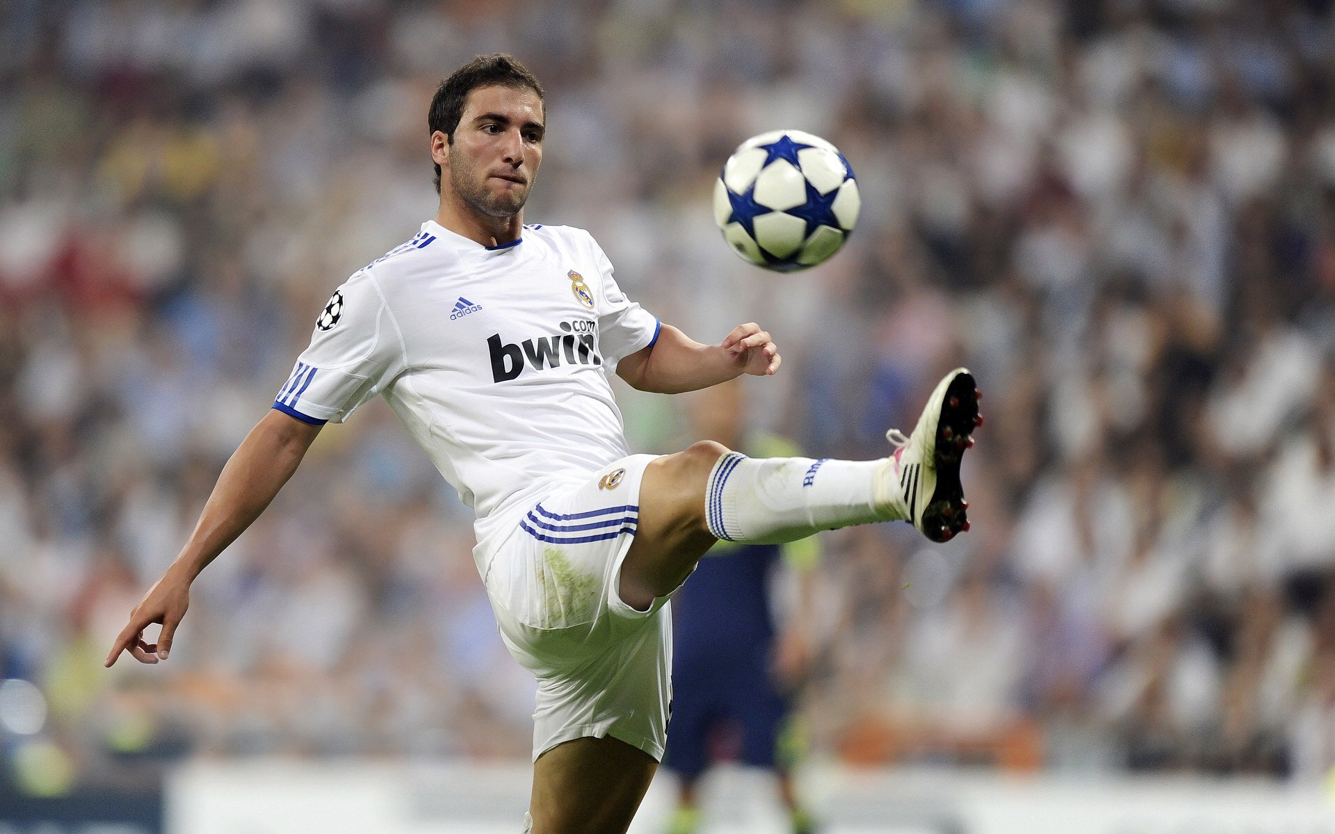 凯撒酋长中场核心伤愈复出，助力球队冲击冠军，凯撒hmo