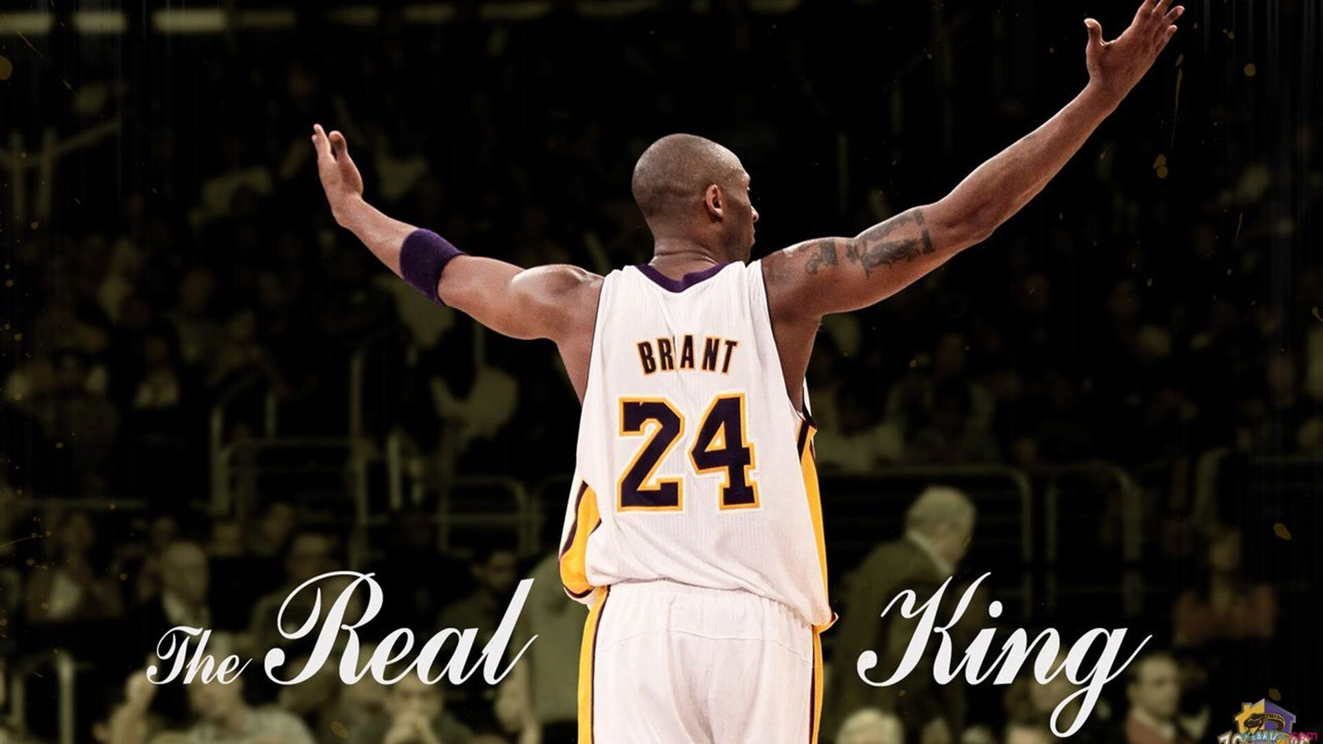 历史人物：NBA史上最具影响力的球员，nba历史最伟大球员